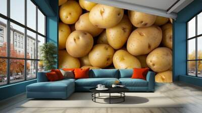 Close-up of a fresh raw potatoes background. Agricultural background texture Wall mural