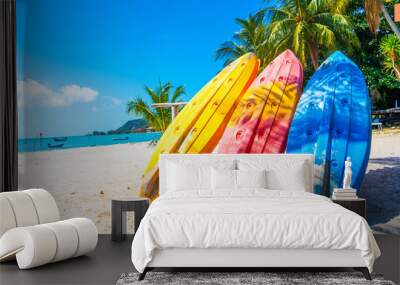 Multi-colored kayaks on a tropical sandy beach. Kayak rental. Tourist entertainment Wall mural