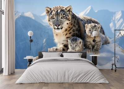 Snow Leopard Animal Wild Beauty Freedom Wilderness Enchanting Wall mural