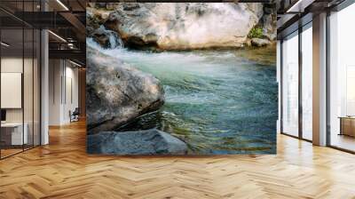 Rocky shore of stormy mountain river. Gray boulders, green water in cascading waterfall. Beautiful natural landscape. Wall mural