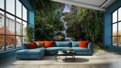 Waterfall in lush forrest Wall mural