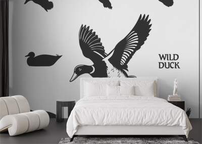 Vector set of wild ducks. Wall mural