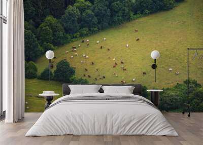 photo of rural landscape with green meadow and forest with herd ow cows from above Wall mural