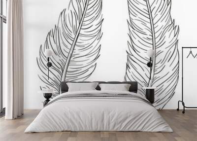 Set of two hand drawn vector decorative feathers isolated on white background Wall mural