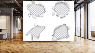 Set of vector realistic holes torn in paper on white background Wall mural