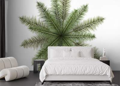 Vector realistic top view illustration of palm tree isolated on white background Wall mural