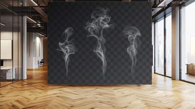 vector set of realistic smoke effects on dark background Wall mural