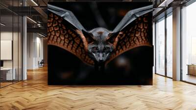 arafed bat with orange eyes and black wings in the dark Wall mural