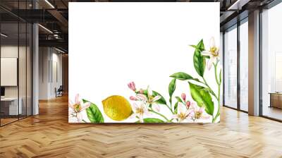 Lemon fruit branch bottom corner composition. Realistic botanical watercolor illustration with citrus tree and flowers, hand drawn isolated floral design on white Wall mural