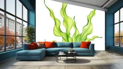 Watercolor green seaweed. Transparent fresh sea plant isolated on white. Realistic botanical illustrations collection. Hand painted underwater grass Wall mural