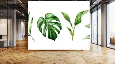 Watercolor leaves set. Tropical citrus, palm, monstera leaves. Exotic tree branches isolated on white. Collection of jungle green plants. Realistic detailed botanical illustration Wall mural