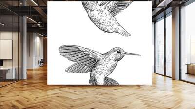 Set of 2 hand drawn hummingbirds on white background.Elements for design. Wall mural