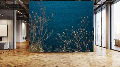 Blue sea background. Beautiful seascape Wall mural