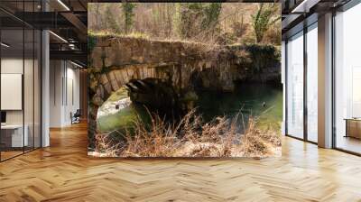 A mountain river flows in a forest, a landscape, a summer day, a forest grows along the banks of the stream.  Wall mural