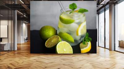 Glass with soda, ice, mint, lemon and lime slices next to cut citrus fruits and ice cubes on a black tray on a gray background Wall mural