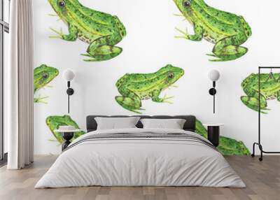 Green frog, seamless pattern on white Wall mural