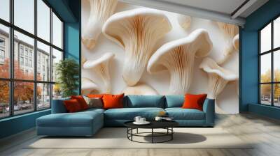 Pleurotus eryngii mushrooms on the white background Wall mural