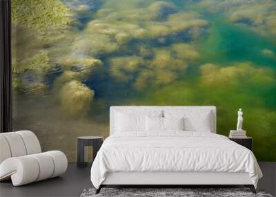 Green algae bloom in the water. The polluted water lake surface with filamentous algae. Swamp algae Wall mural