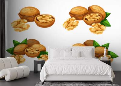 Set of delicious and beautiful walnuts isolated on white background. Vector illustration of fresh whole, peeled and half tasty walnuts with green leaves in cartoon style. Wall mural