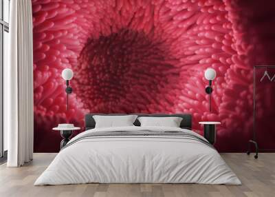 Intestinal microvilli are illustrated in close-up. 3d rendering Wall mural