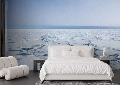 Arctic sea ice. Wall mural