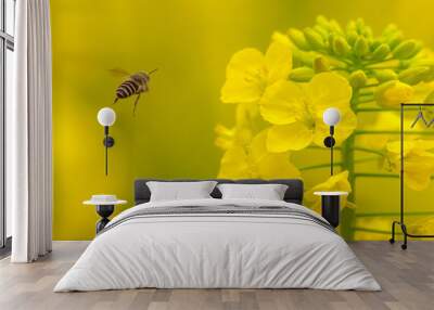 bee on yellow flower Wall mural