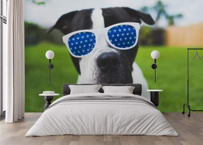 cute black and white dog wearing red white and blue glasses for july 4th Wall mural