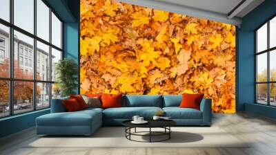 A lot of yellow and orange dry leaves lying on the ground Wall mural