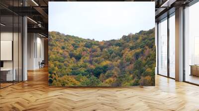 colorful fall foliage trees mountains Wall mural