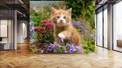  Baby kitten with wonderful blue eyes playing with flowers  Wall mural