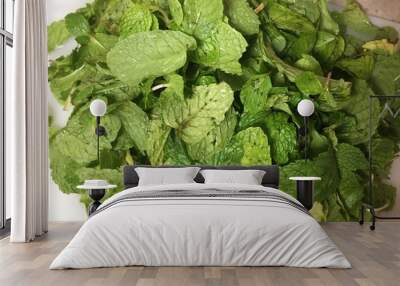 Mint leaves Wall mural