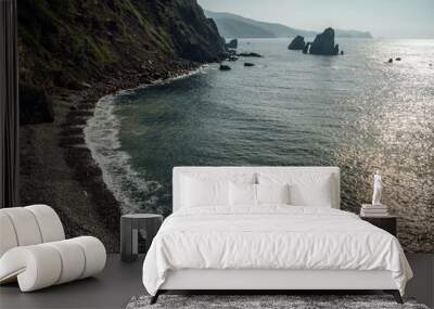 Coastline Wall mural