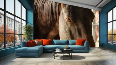 Horse 2 Wall mural