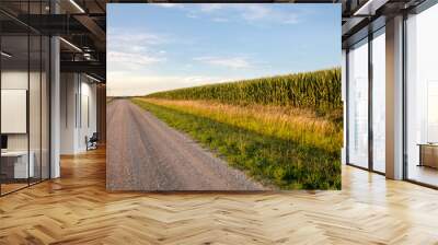 Iowa country road and corn field Wall mural