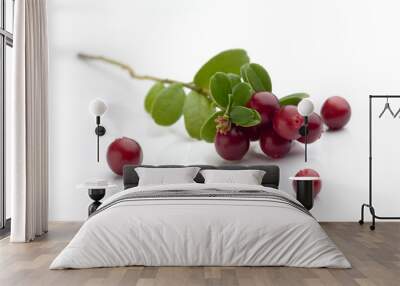 Bunch of fresh cranberries isolated on white Wall mural