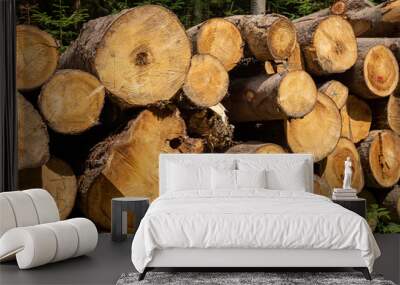 A pile of cut pine tree logs laying on the grass in the forest, Poland.  Wall mural