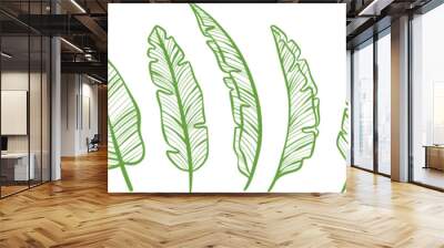 Banana leaf line art vector border, hand drawn leaves, illustration set, isolated Wall mural