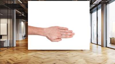 Realistic human hand showing gesture. White skin man arm isolated on transparent background. Straight fingers, top view arm Wall mural