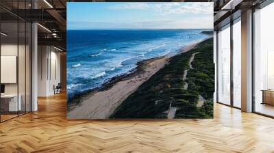 Drone Areial Photo of Ocean Grove Beach, Victoria, Australia.  Wall mural