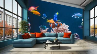 Aquarium colourfull different fishes in deep blue water Wall mural