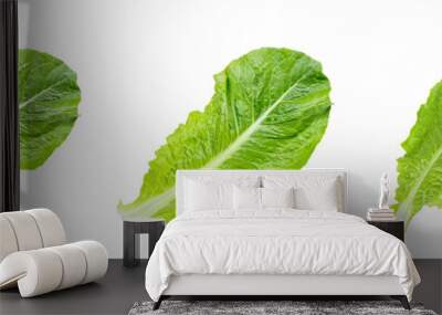 Top view of fresh raw green romaine lettuce leaves for salad set isolated on white background. Wall mural