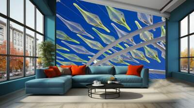 skyfish Wall mural