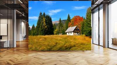 House at Uskovnica alpine pasture and a red colored tree behind in Gorenjska, Slovenia Wall mural