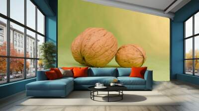 Two walnuts large and small Wall mural