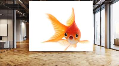 shocked goldfish isolated on white background Wall mural