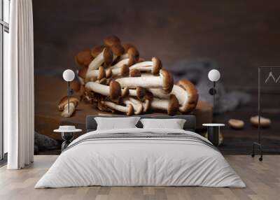 Fresh raw brown poplar mushrooms or velvet pioppini mushrooms on dark wood closeup Wall mural