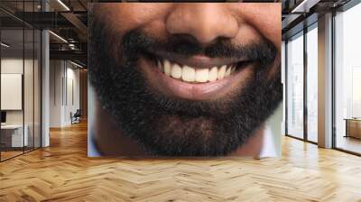 Close up of handsome beard hipster elegant male. Bearded man close up. Wall mural