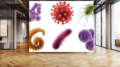 set bacteries with chlamydia, streptococcus, staphylococcus, spirochetes, proteus, coronavirus is isolated on a transparent background. Microbiology, the study of microorganisms, infections, bacteria Wall mural