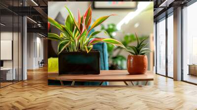 A close-up of houseplants with vibrant green and yellow striped leaves placed in modern pots on a table. Wall mural