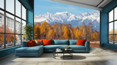 A beautiful autumn landscape with a yellowed forest against the background of snow-capped mountain peaks on a sunny October day. Change of seasons, calendar. Natural background. Autumn travel Wall mural